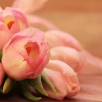 happy mothers day, tulips, tulipa-2068692.jpg